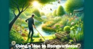 Using a Hoe to Remove Grass: Swift & Eco-Friendly Tips